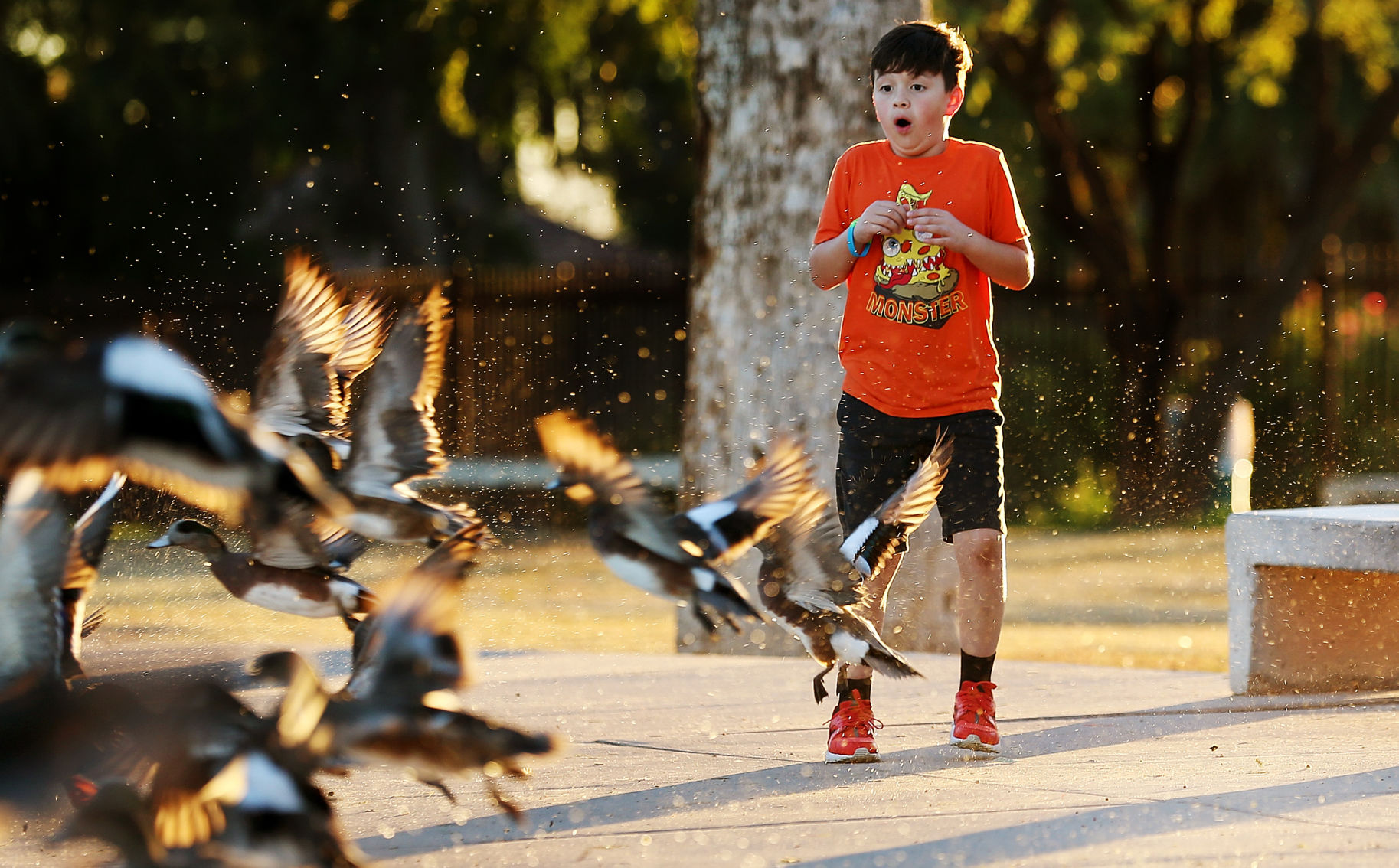 Best of 2018: Arizona Daily Star photography